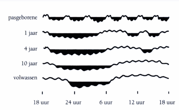 NCJ ontwikkeling van een dag-nacht ritme op verschillende leeftijden