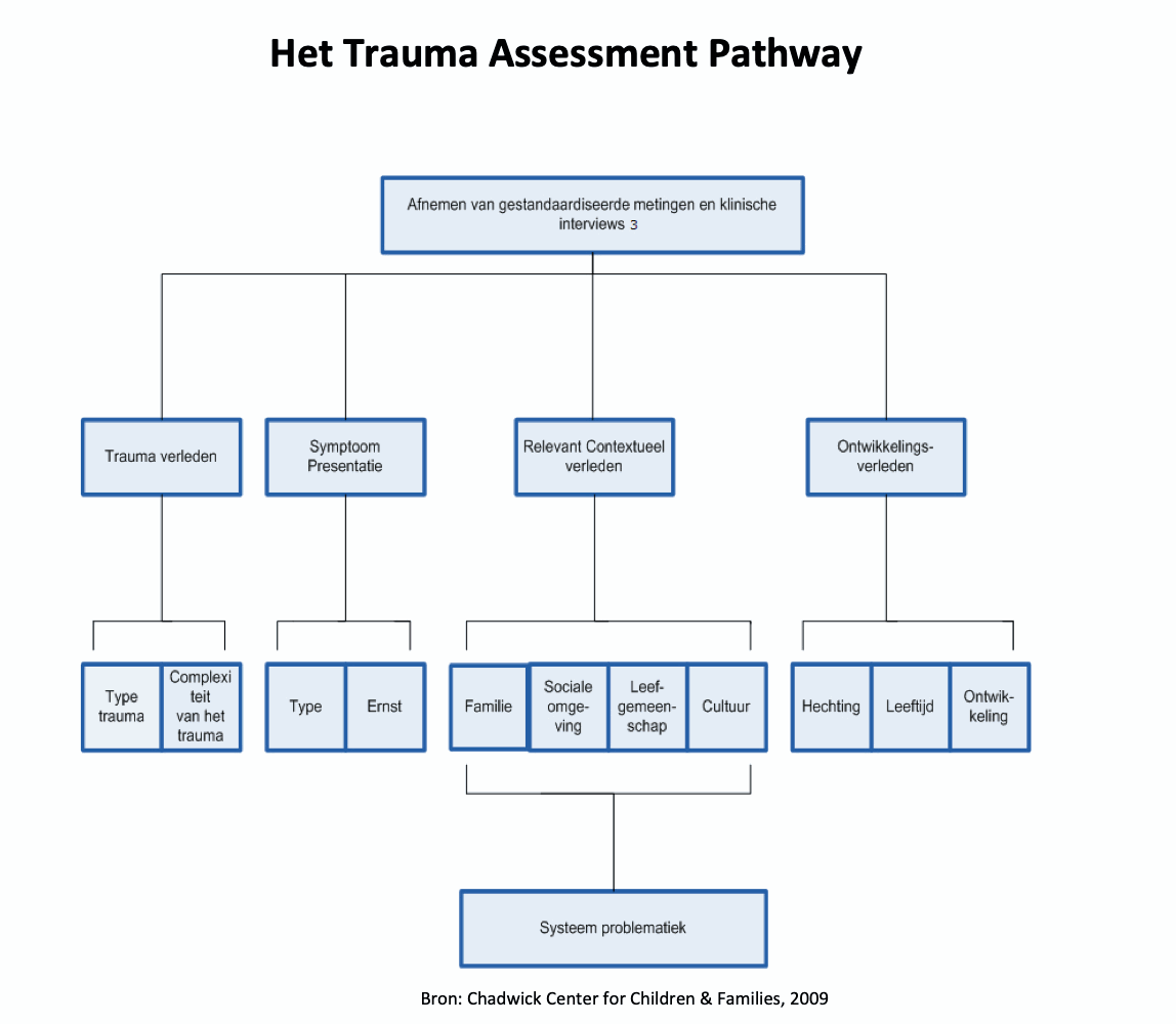 Trauma Assessment Pathway