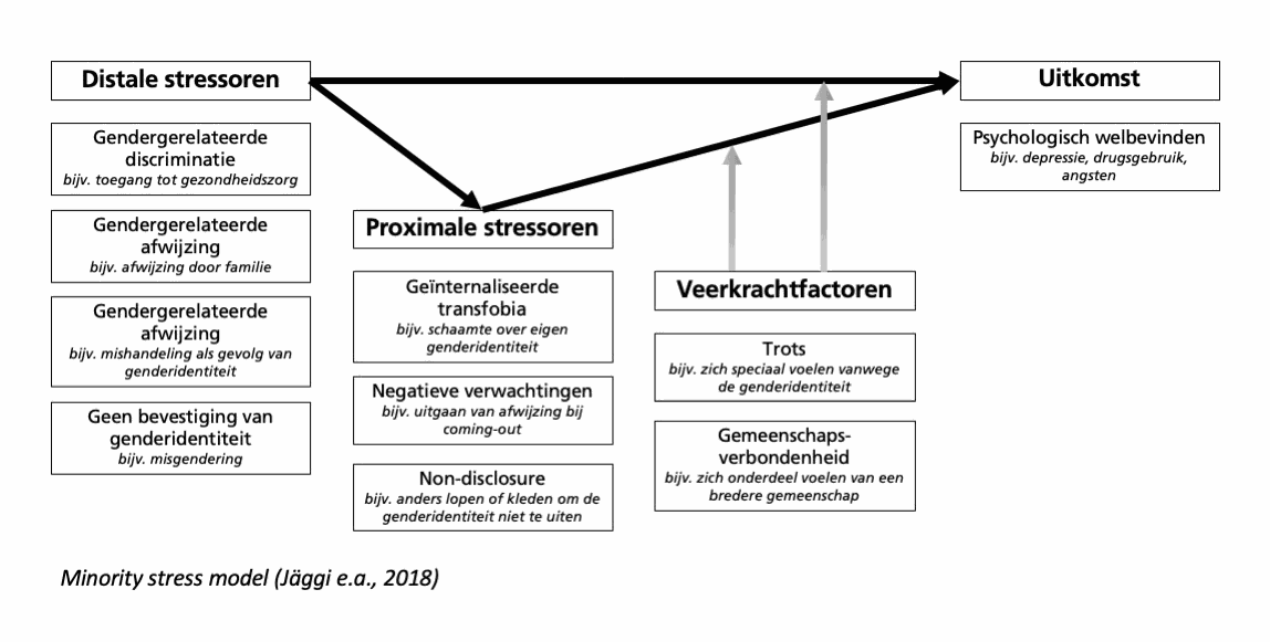 Genderdiversiteit - Jägr et al. 2018